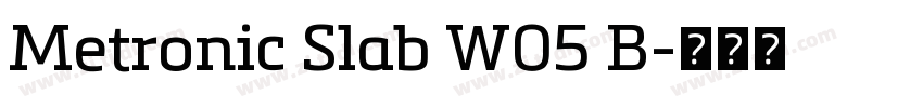 Metronic Slab W05 B字体转换